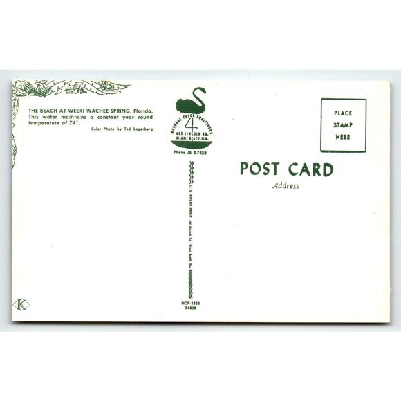 Postcard Weeki Wachee Springs Florida Swimsuit Women Beach Mermaids Chrome - Picture 2 of 2